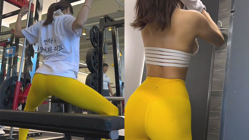 뉴스티즈