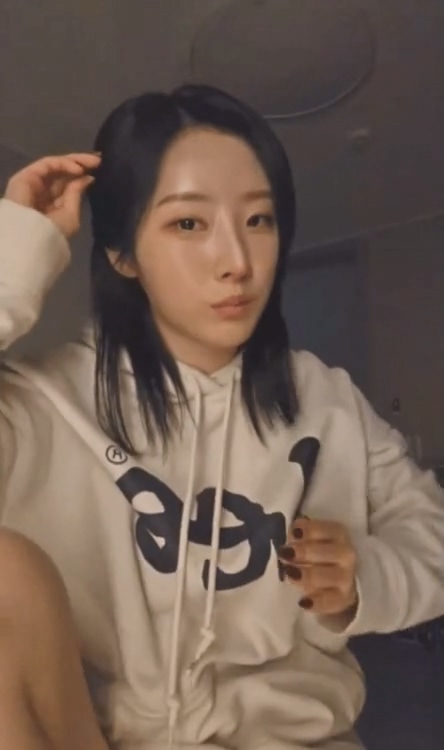 뉴스티즈