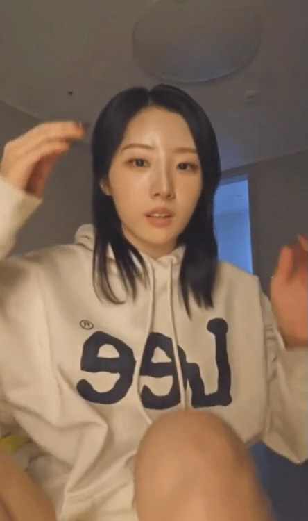 뉴스티즈